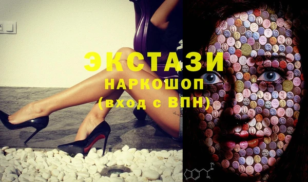 ECSTASY Богородицк